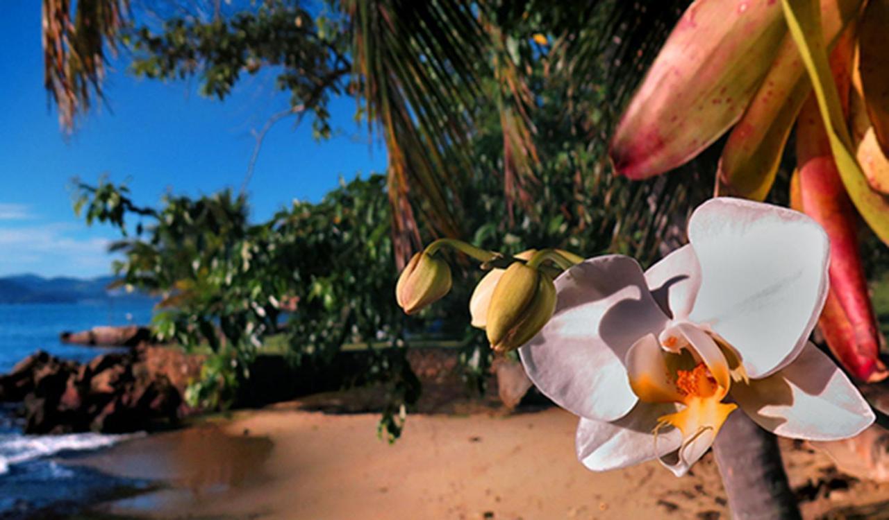 Paraty Marin Araquari Exterior photo